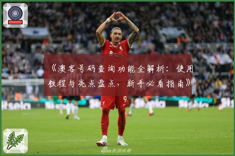 《澳客号码查询功能全解析：使用教程与亮点盘点，新手必看指南》