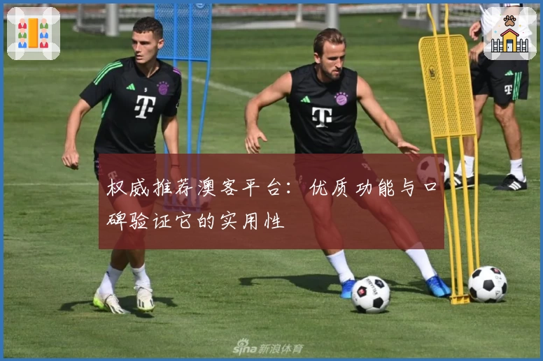 权威推荐澳客平台：优质功能与口碑验证它的实用性