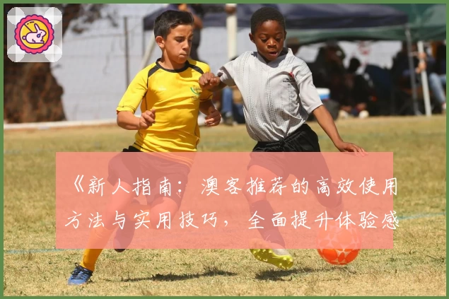 《新人指南：澳客推荐的高效使用方法与实用技巧，全面提升体验感》